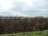 DSCN7868.JPG